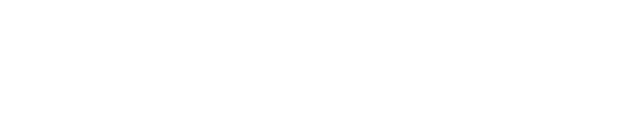 Red Básica